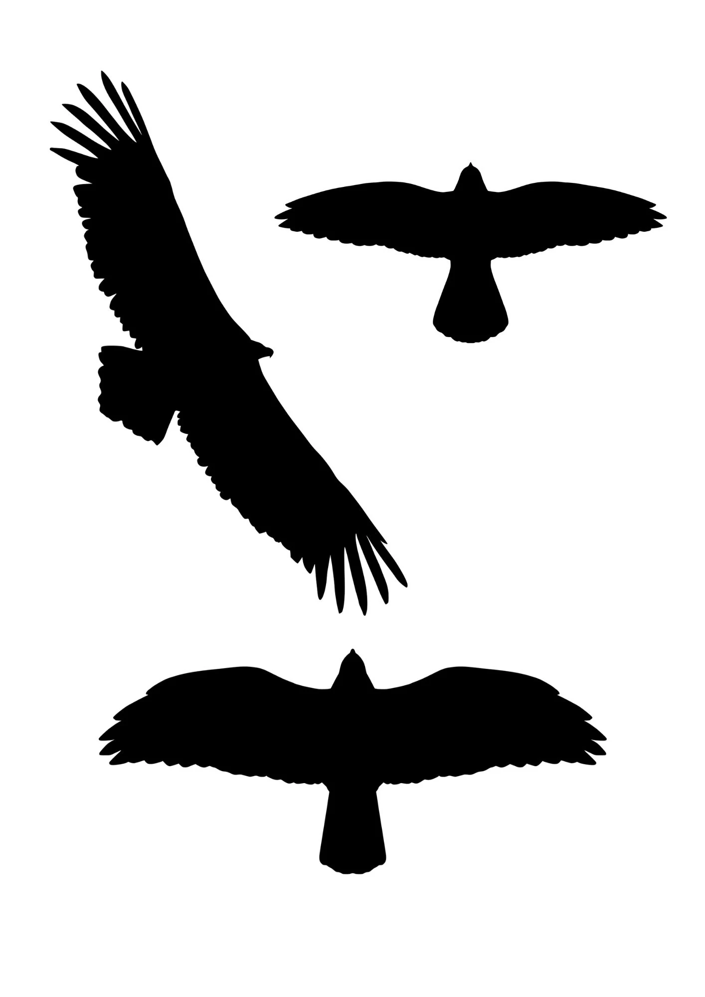 Siluetas de aves