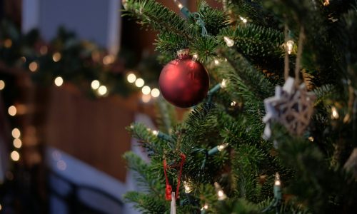 david-angel-BwhCs4eWPR4-unsplash